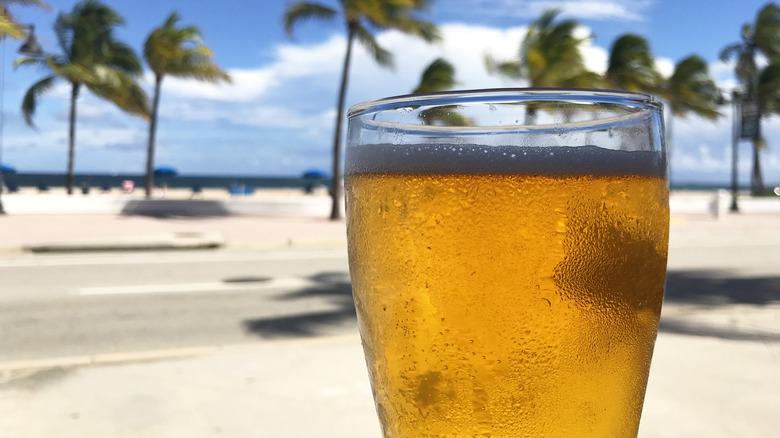 Pint of beer in the foreground with beach and palm trees in the background