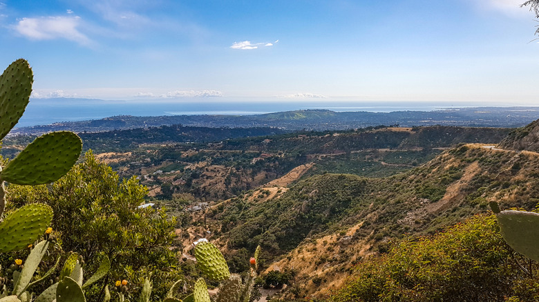 A view of the Pacific Ocean from Rattlesnake Canyon with cacti in the foreground