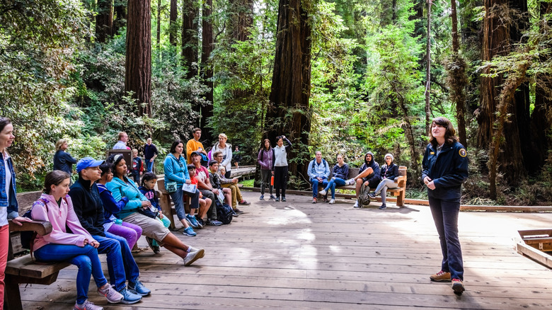 Ranger speaking to people at Muir Woods National Monument