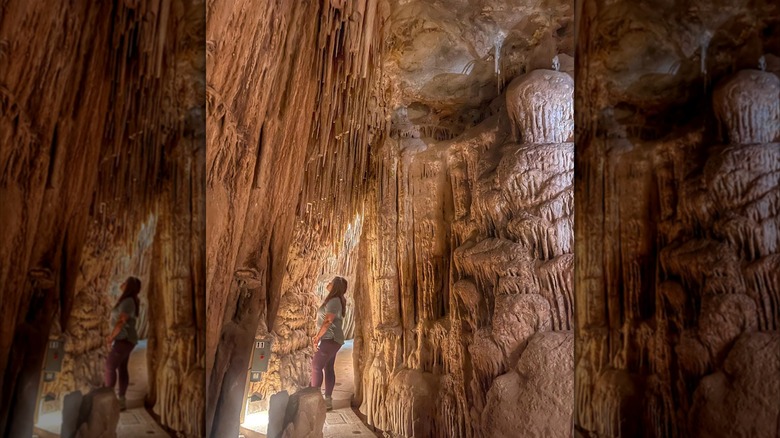 Mitchell Caverns in the Providence Mountains State Recreation Area