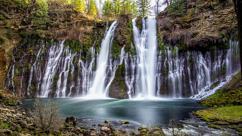 View of California's Burney Falls from the base