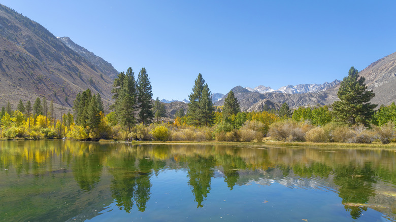 Trees line a lake on one of the forks of Bishop Creek Canyon