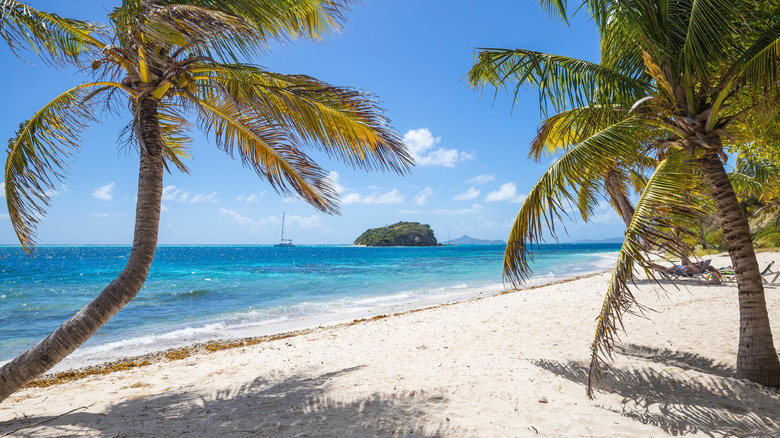 View of white-sand beach on the Tobago Cays