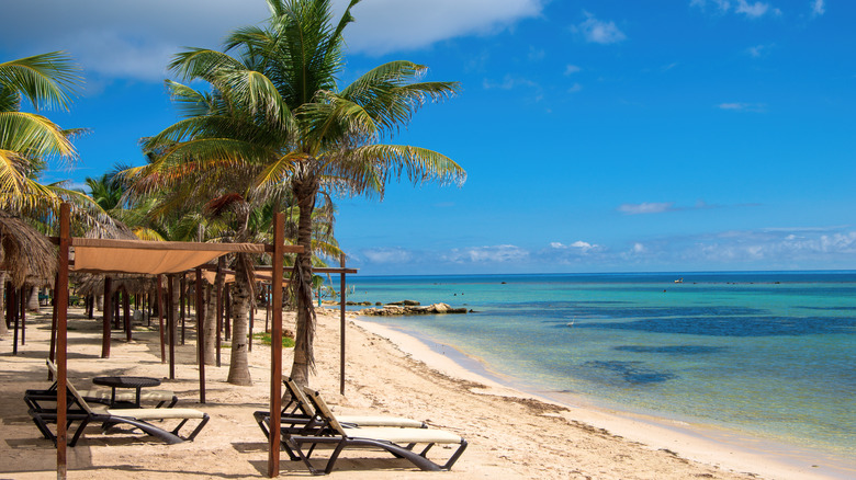 Palms and sunloungers overlooking the Caribbean Sea on Mahahual beach