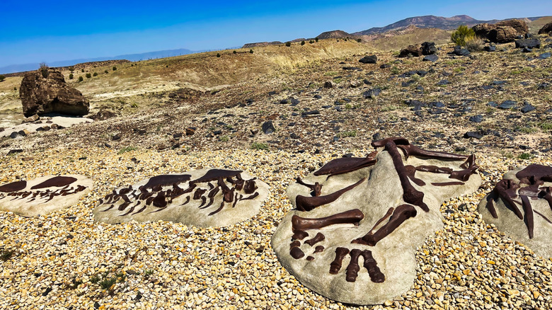 Dinosaur fossils in the Utah desert