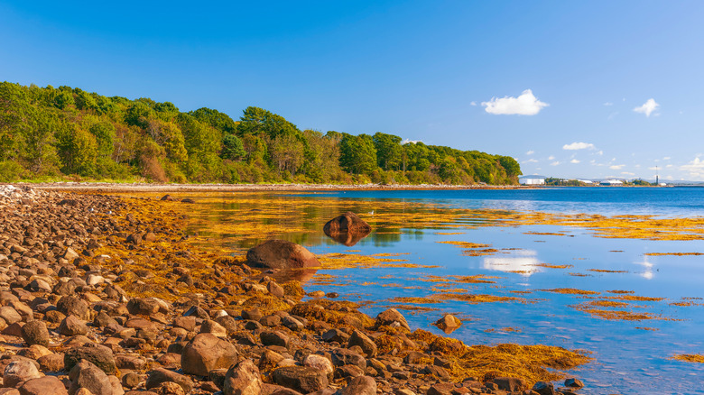 Rocky coastline of Penobscot Bay in Moose Point State Park