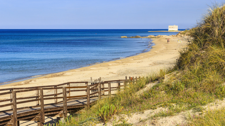Torre Canne in the Dune Costiere Regional Natural Park