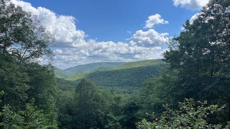 Forested hills under a blue sky in Bald Eagle State Park