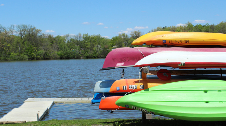 Canoes along Raisin River