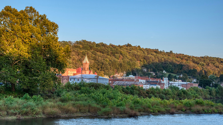 A lush riverbank with buildings in the background