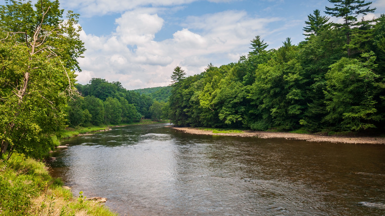 A river running between rich greenery on either bank in the Pennsylvania Wilds.