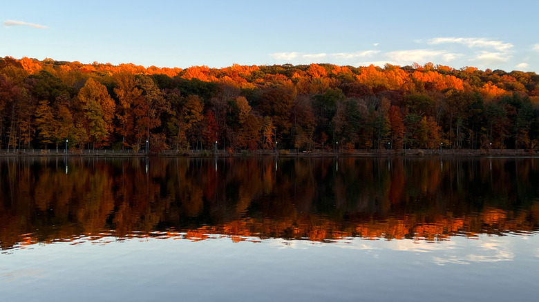 South Mountain Reservation in New Jersey during the autumn