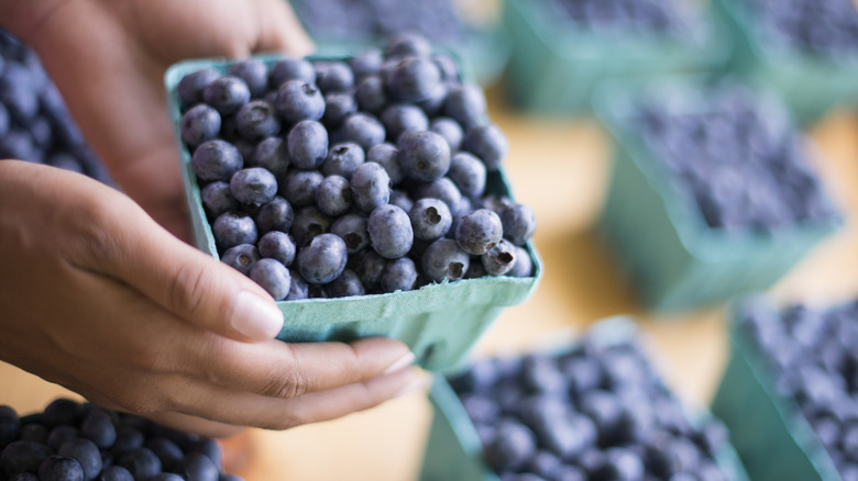 picture of blueberries