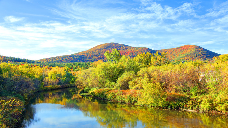 View of the Berkshire mountain range with colorful leaves in the fall