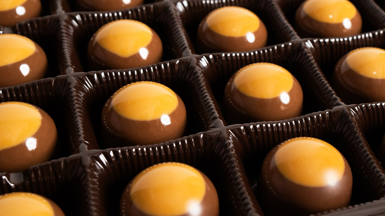 Glossy peanut butter buckeye chocolates sit shining in a brown plastic tray
