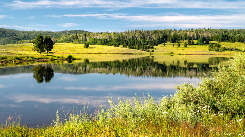 Calm waters of Steamboat Lake surrounded by evergreen trees.