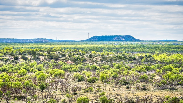 San Angelo State Park in Texas