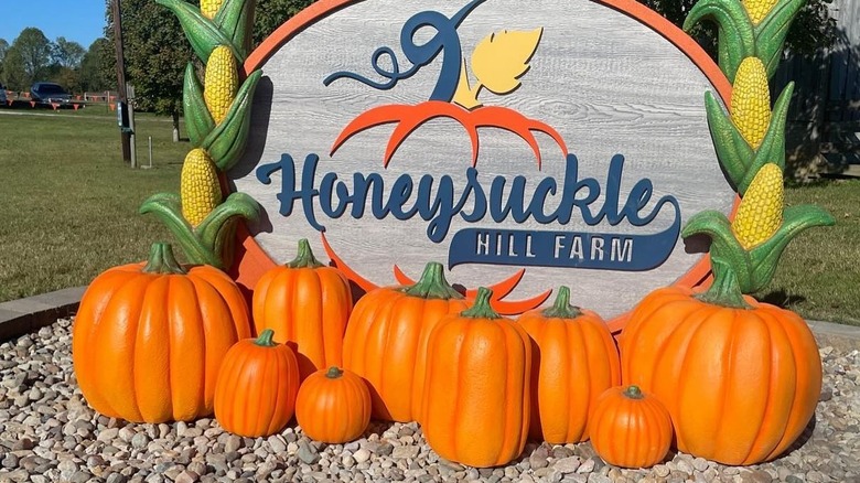 Honeysuckle Hill Farm sign surrounded by a pumpkin display