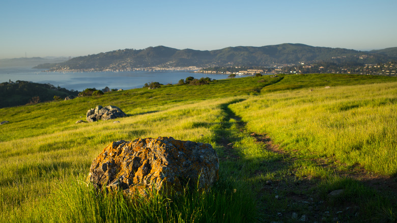 Grassy hills with scattered boulders at Ring Mountain Preserve, near Tiburon, California