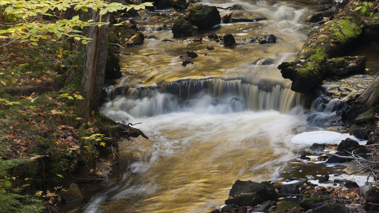 Autumn Reflections in a stream just above Chapel Falls in Pictured Rocks National Lakeshore