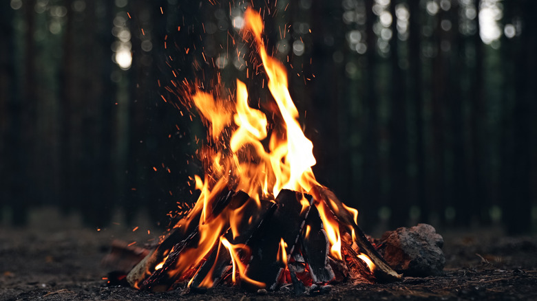 Small bonfire burning in an open clearing in the woods at night