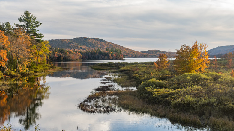 a lake view in the Adirondack region