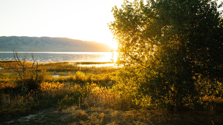 Utah Lake from Vineyard at golden hour