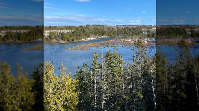 View of Mitis River in Grand-Metis in Quebec