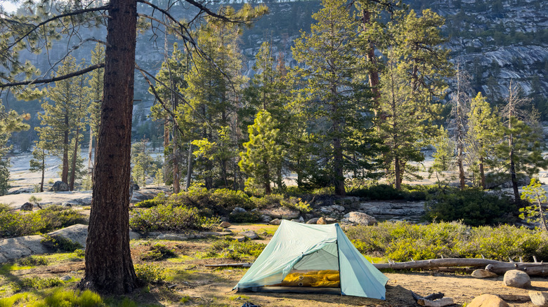 Campsite in Yosemite National Park