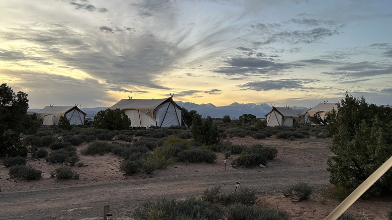 Four glamping tents with mountains in the background