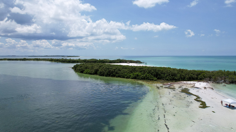 Sandy stretch of Anclote Key