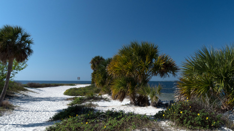 Anna Maria Island's white sands