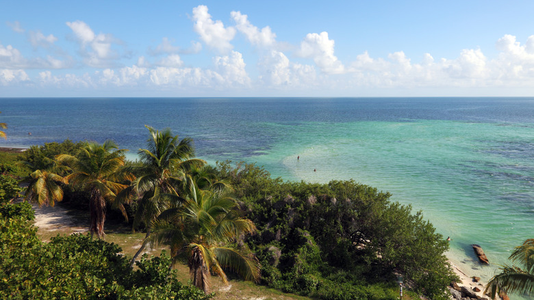 Shoreline of Bahia Honda Key