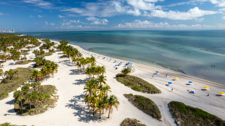 Crandon Park beach on Key Biscayne