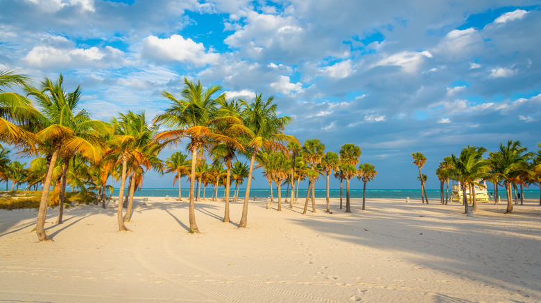 Sunset at Key Biscayne's Crandon Park