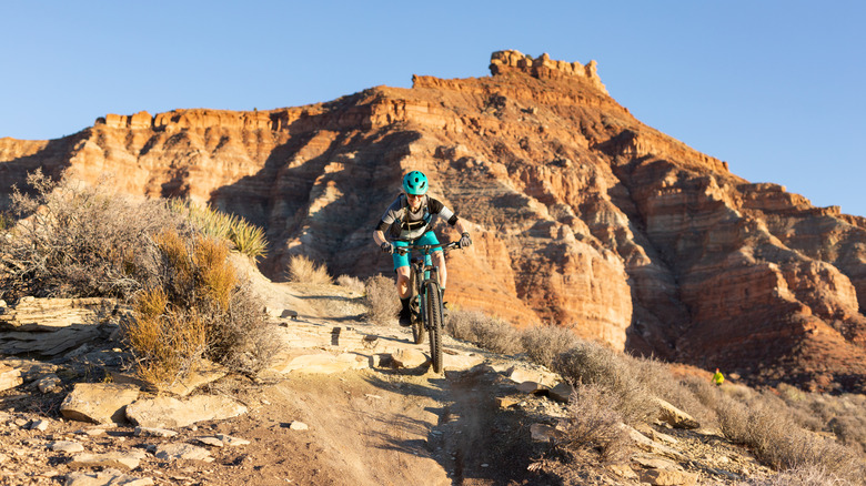 A mountain biker riding a trail at Gooseberry Mesa, Utah