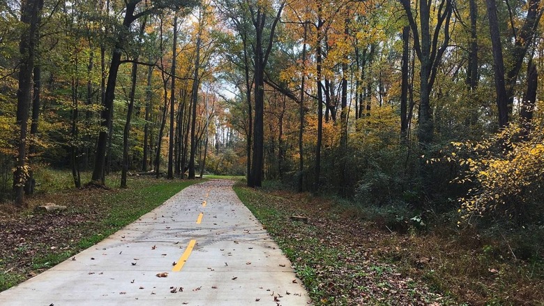 A bike path through a forest in Carrollton, Georgia