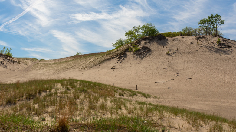 Sand dunes at Warren Dunes State Park on a sunny day