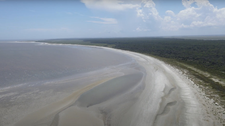 aerial view of beach with sand and water and green trees