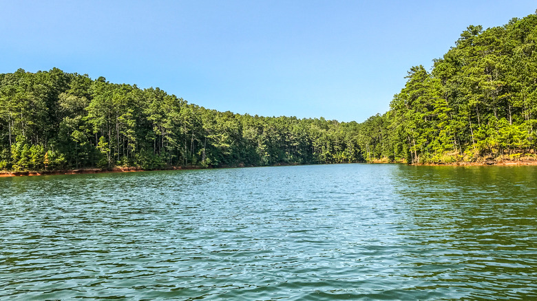 A fishing lake in Georgia