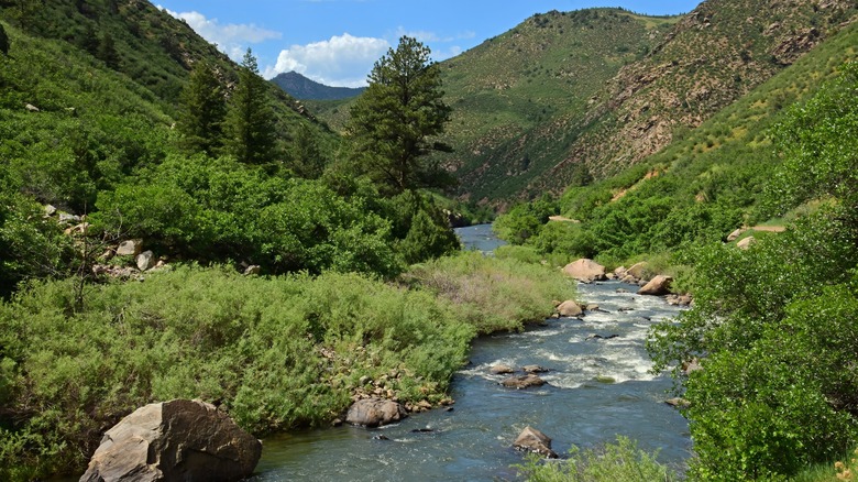 Waterton Canyon with the South Platte River