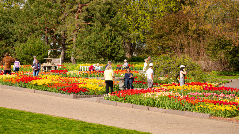 Visitors walk amongst flowers at an arboretum