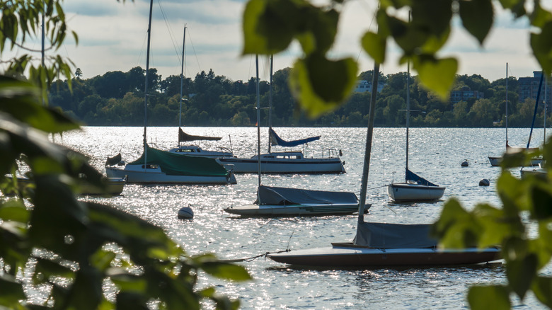 Sailboats on Lake Minnetonka, MN