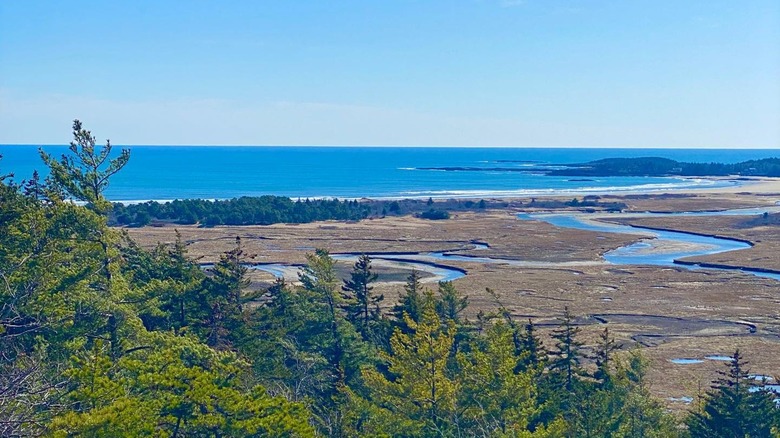 View of Seawall Beach from Morse Mountain Trail