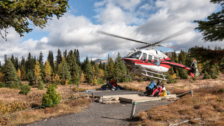 A helicopter landing with gear in Assiniboine Provincial Park