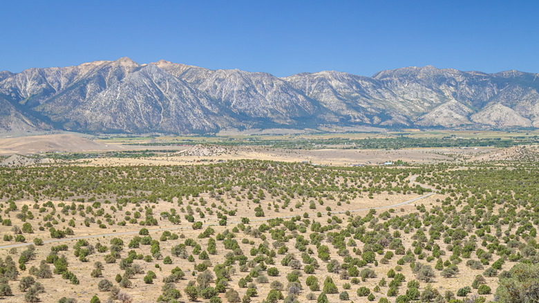 Sierra Nevada mountains with the town of Minden in the distance.