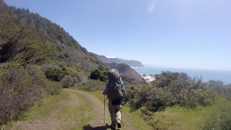 Backpacker on a trail in the Sinkyone Wilderness State Park