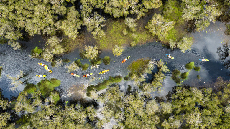 High angle shot of kayakers