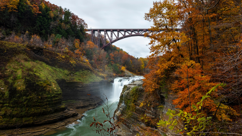 A bridge spanning the Genesee River and a waterfall