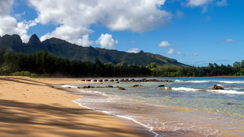 Anahola Beach in Hawaii with views of Kalalea Mountain